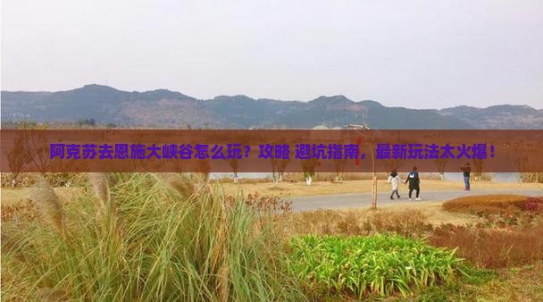 阿克苏去恩施大峡谷景点