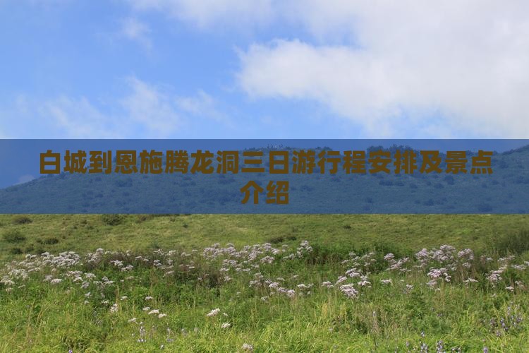 白城到恩施腾龙洞三日游
