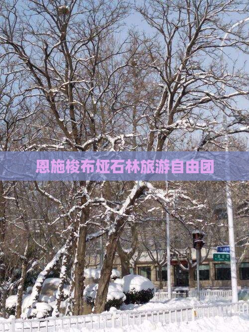 晋中去恩施梭布垭石林自由团