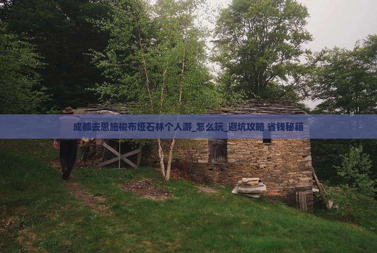 成都去恩施梭布垭石林个人游