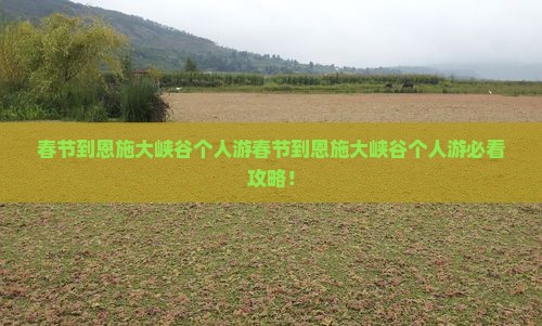 春节到恩施大峡谷个人游