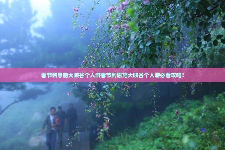 春节到恩施大峡谷个人游
