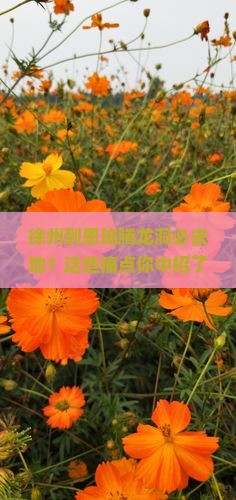 徐州到恩施腾龙洞必去地