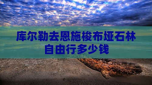 库尔勒去恩施梭布垭石林自由行