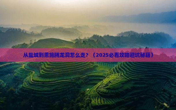 盐城到恩施腾龙洞景点