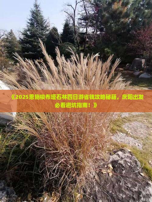 庆阳去恩施梭布垭石林四日游