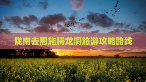 陇南去恩施腾龙洞自由行