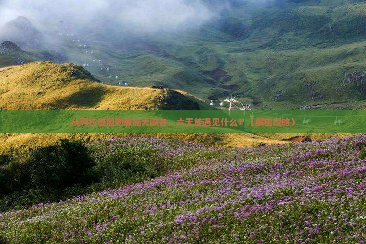 阿拉善盟去恩施大峡谷六日游