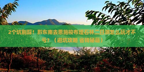 黔东南去恩施梭布垭石林二日游