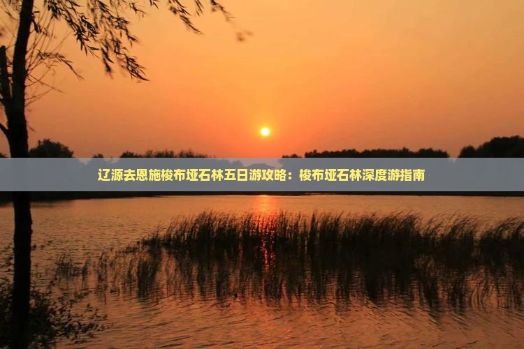 辽源去恩施梭布垭石林五日游