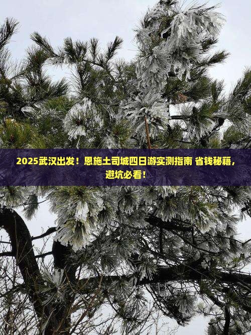 武汉去恩施土司城四日游