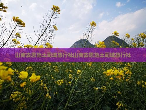 山南去恩施土司城旅行社
