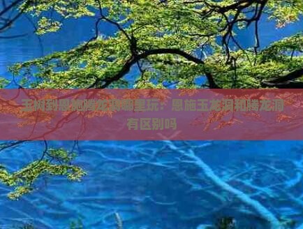玉树到恩施腾龙洞哪里玩
