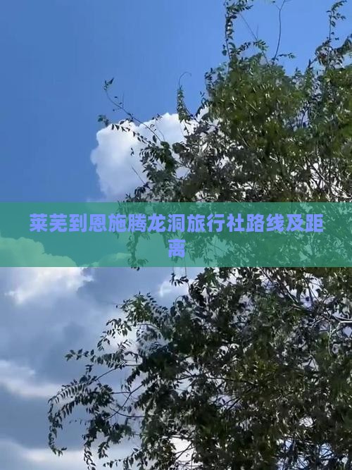 莱芜到恩施腾龙洞旅行社路线及距离