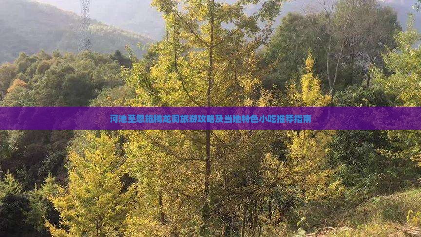 河池至恩施腾龙洞旅游攻略及当地特色小吃推荐指南