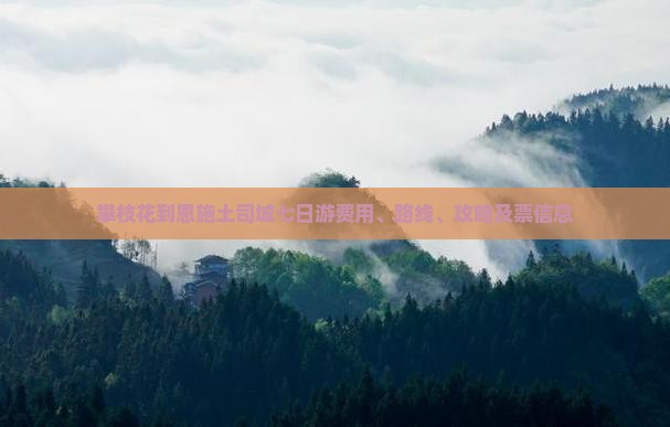 攀枝花到恩施土司城七日游费用、路线、攻略及票信息