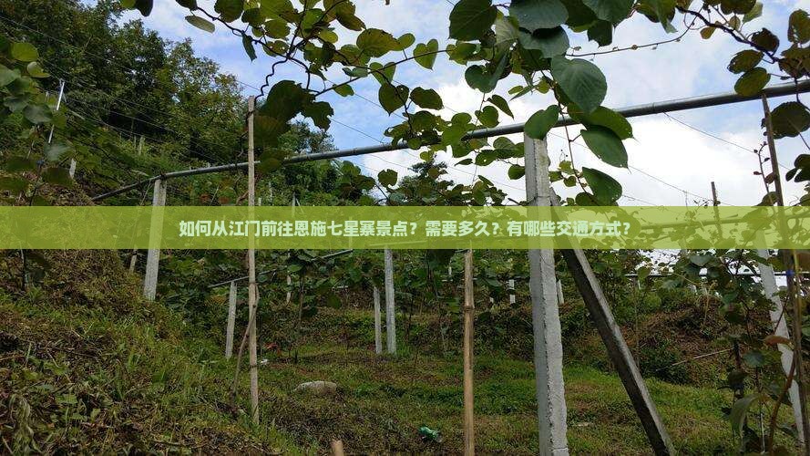 如何从江门前往恩施七星寨景点？需要多久？有哪些交通方式？