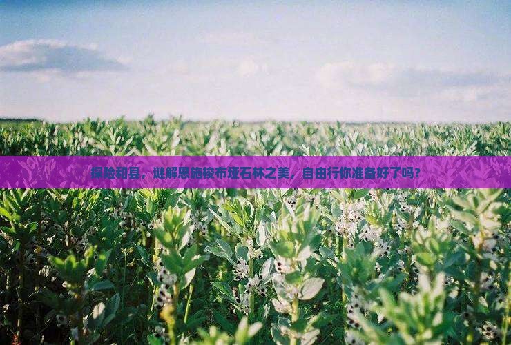 探险和县,谜解恩施梭布垭石林之美,自由行你准备好了吗? 探险和县,谜解恩施梭布垭石林之美,自由行你准备好了吗?