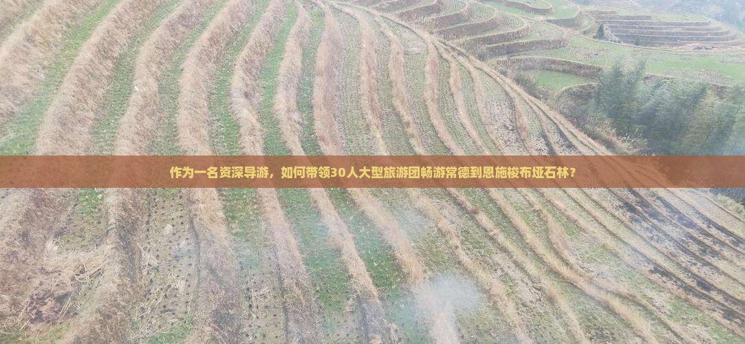 作为一名资深导游，如何带领30人大型旅游团畅游常德到恩施梭布垭石林？