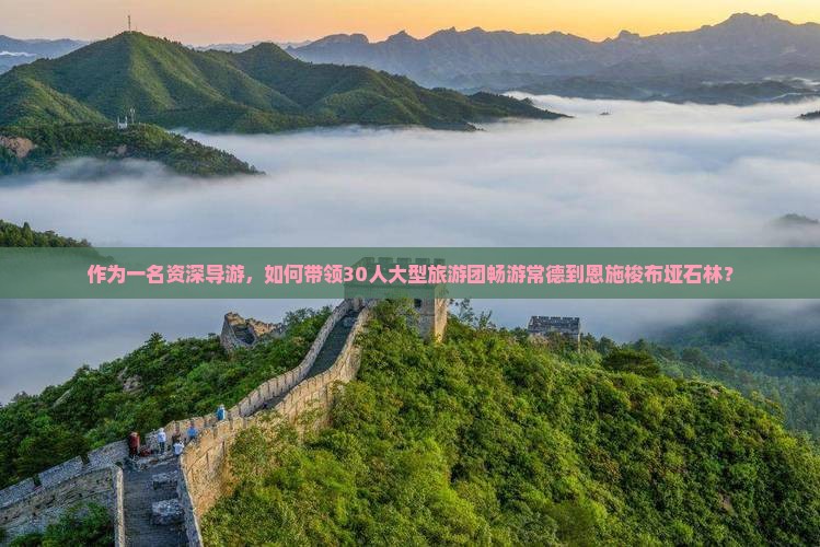 作为一名资深导游，如何带领30人大型旅游团畅游常德到恩施梭布垭石林？
