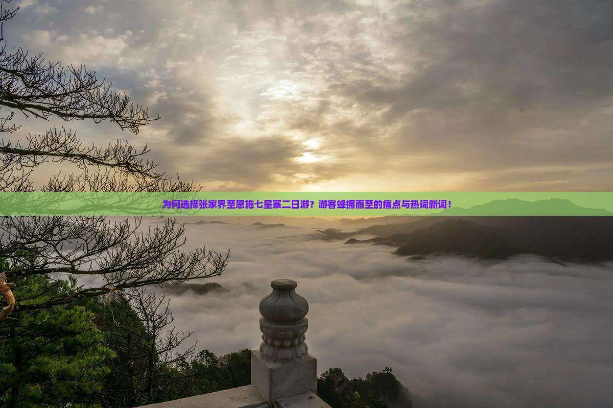 为何选择张家界至恩施七星寨二日游？游客蜂拥而至的痛点与热词新词！