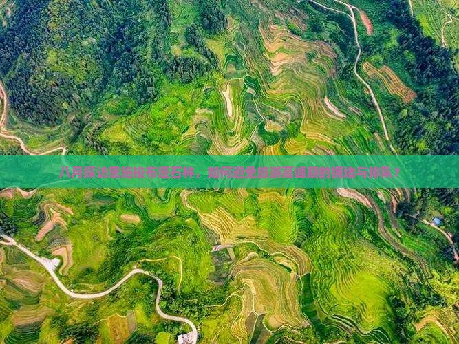 八月探访恩施梭布垭石林，如何避免旅游高峰期的拥堵与排队？