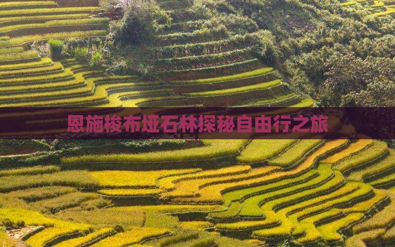 恩施梭布垭石林探秘自由行之旅
