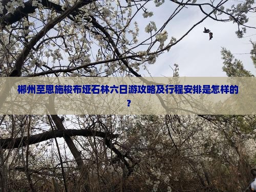 郴州至恩施梭布垭石林六日游攻略及行程安排是怎样的？