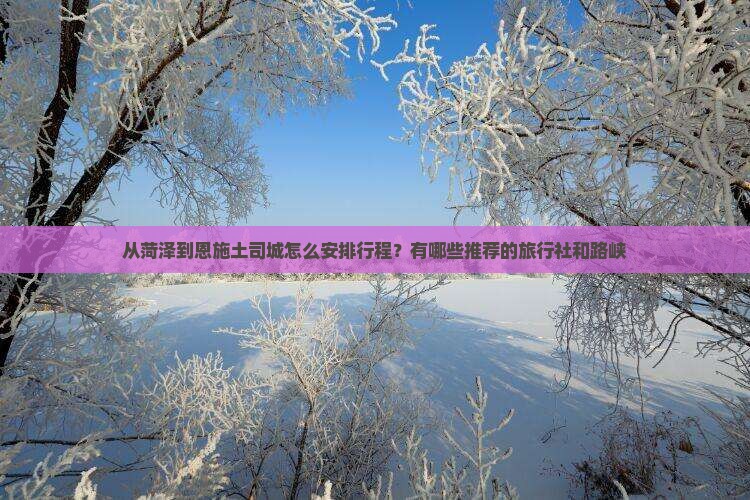 从菏泽到恩施土司城怎么安排行程？有哪些推荐的旅行社和路峡