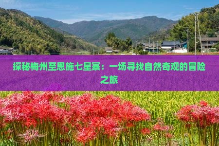 探秘梅州至恩施七星寨：一场寻找自然奇观的冒险之旅