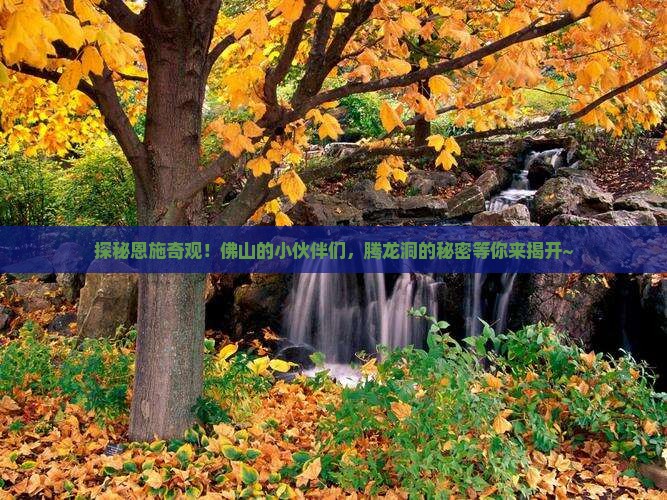 探秘恩施奇观！佛山的小伙伴们，腾龙洞的秘密等你来揭开~
