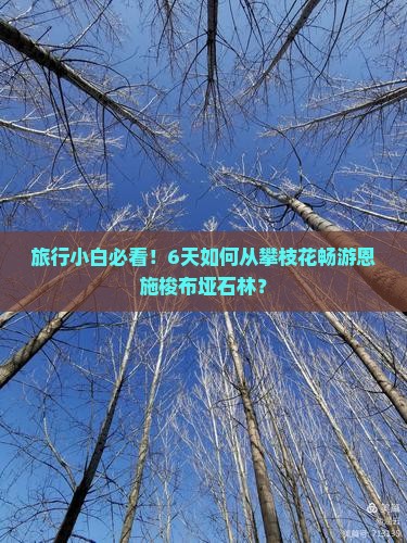 旅行小白必看！6天如何从攀枝花畅游恩施梭布垭石林？