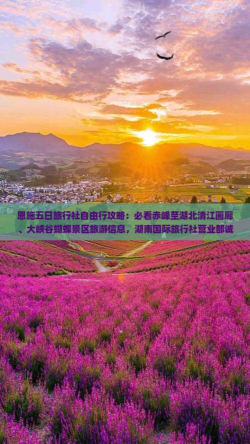 恩施五日旅行社自由行攻略：必看赤峰至湖北清江画廊、大峡谷蝴蝶景区旅游信息，湖南国际旅行社营业部诚意呈现