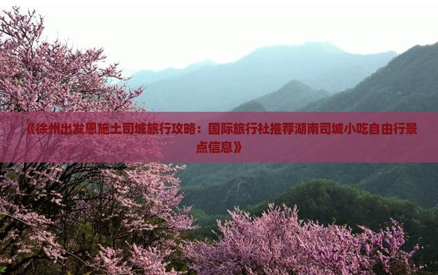 《徐州出发恩施土司城旅行攻略：国际旅行社推荐湖南司城小吃自由行景点信息》