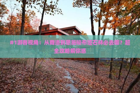 #1游客视角：从商洛到恩施梭布垭石林必去哪？超全攻略解你惑