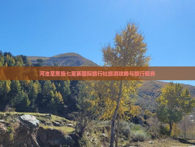 河池至恩施七星寨国际旅行社旅游攻略与旅行服务