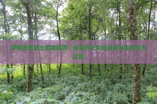伊春去恩施土司城旅游：探寻历史文化遗迹与自然风光之旅