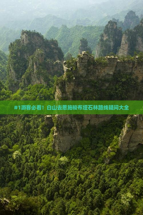 #1游客必看！白山去恩施梭布垭石林路线疑问大全