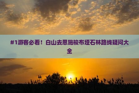 #1游客必看！白山去恩施梭布垭石林路线疑问大全