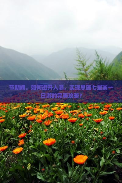 节期间，如何避开人潮，实现恩施七星寨一日游的完美攻略？