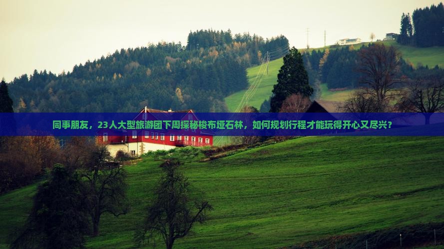 同事朋友，23人大型旅游团下周探秘梭布垭石林，如何规划行程才能玩得开心又尽兴？