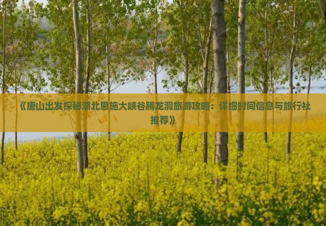 《唐山出发探秘湖北恩施大峡谷腾龙洞旅游攻略：详细时间信息与旅行社推荐》