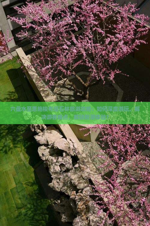 六盘水至恩施梭布垭石林旅游攻略：如何深度游玩，解决游客痛点，解锁新潮体验？