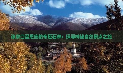 张家口至恩施梭布垭石林：探寻神秘自然景点之旅