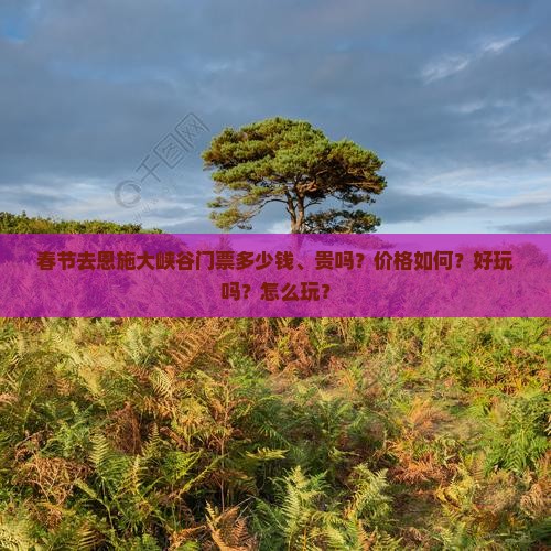春节去恩施大峡谷门票