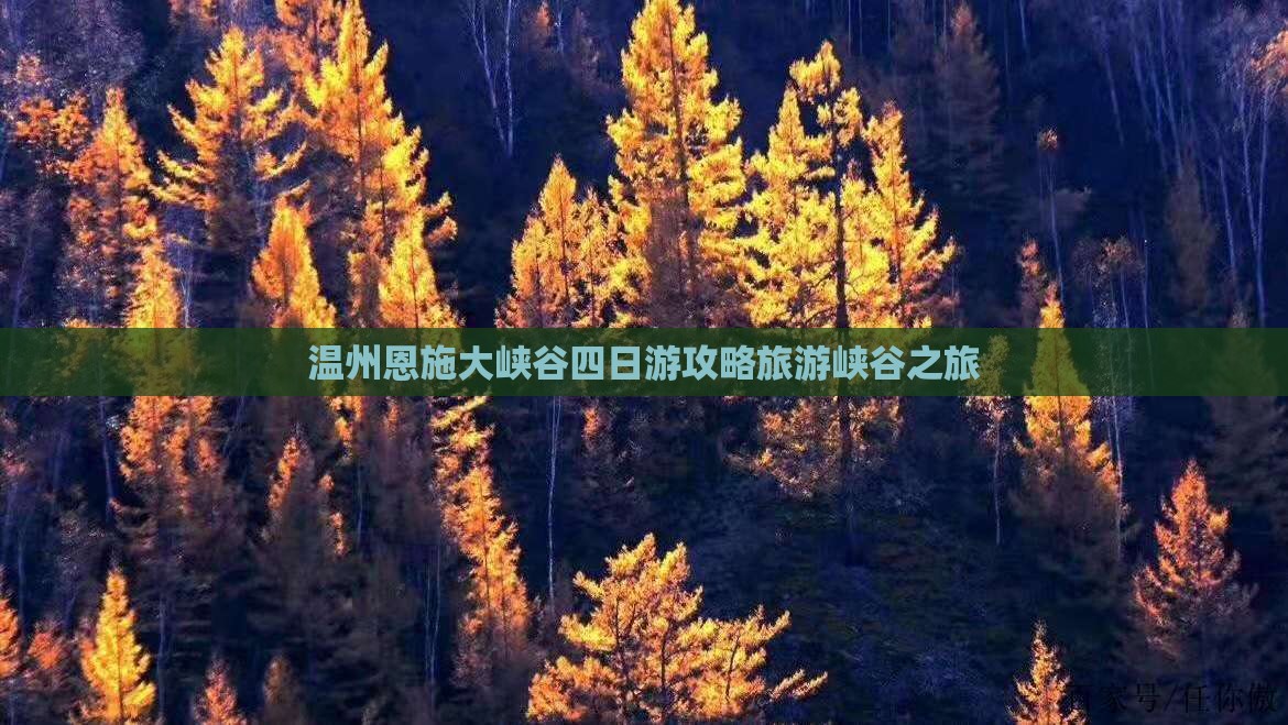 温州去恩施大峡谷四日游