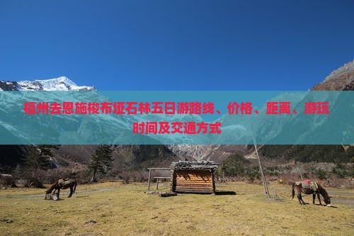 福州去恩施梭布垭石林五日游