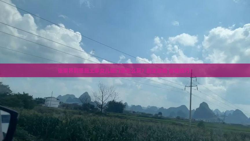 张家界到恩施土家女儿城门票
