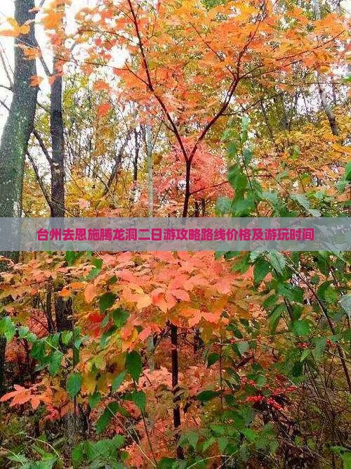 台州去恩施腾龙洞二日游
