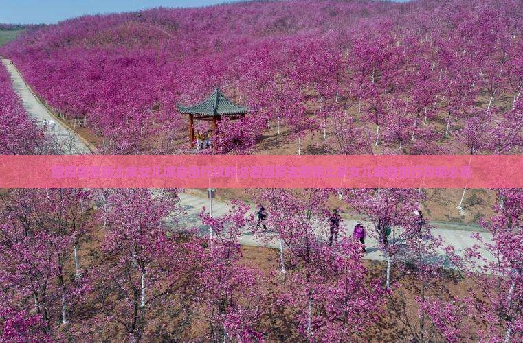 固原去恩施土家女儿城自由行